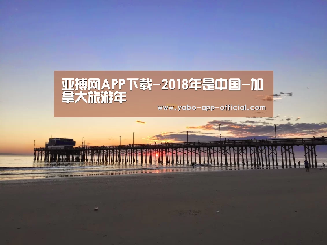 亚搏网APP下载