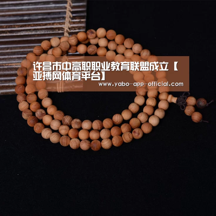 许昌市中高职职业教育联盟成立【亚搏网体育平台】(图2) 亚搏网app
