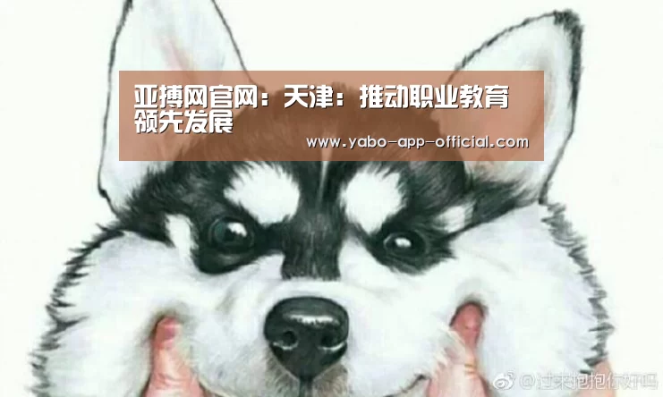 亚搏网官网:天津:推动职业教育领先发展(图4) 亚搏网APP下载