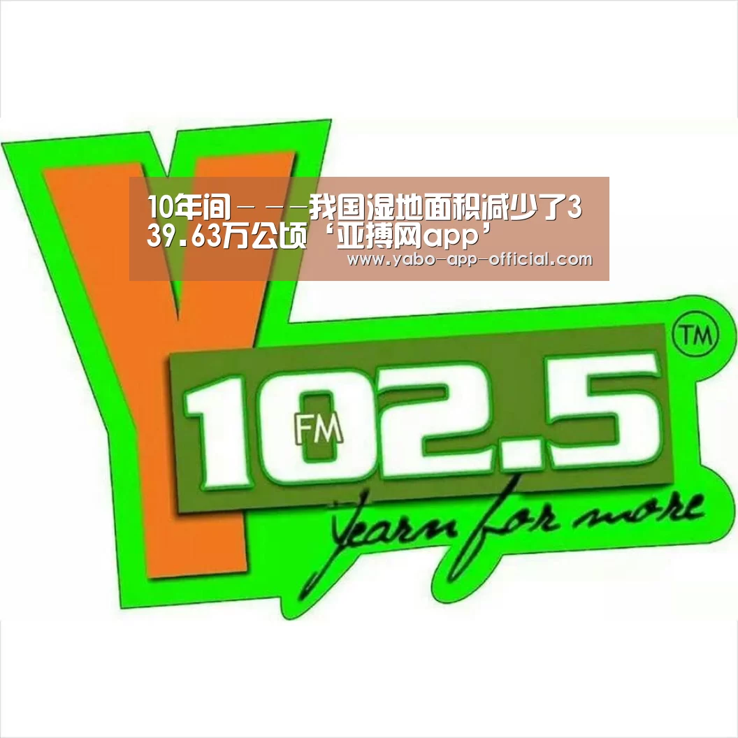 亚搏网体育平台