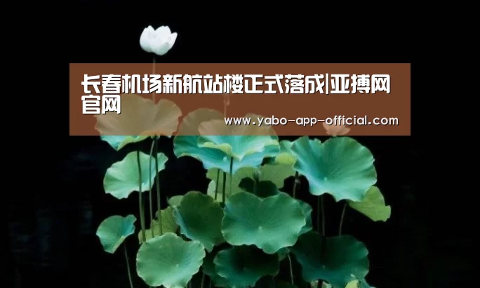 长春机场新航站楼正式落成|亚搏网官网(图4) 亚搏网官网