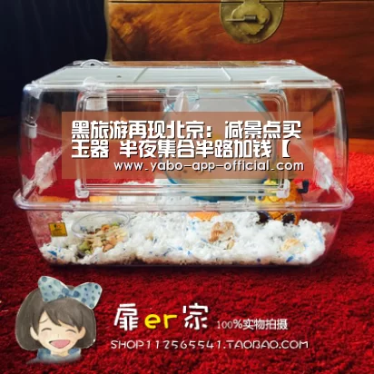 黑旅游再现北京: 减景点买玉器 半夜集合半路加钱【亚搏网官网】